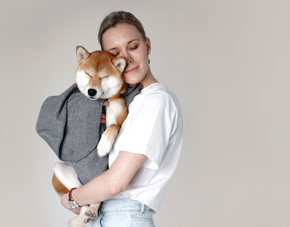 About 4 Paws Avenue Grooming